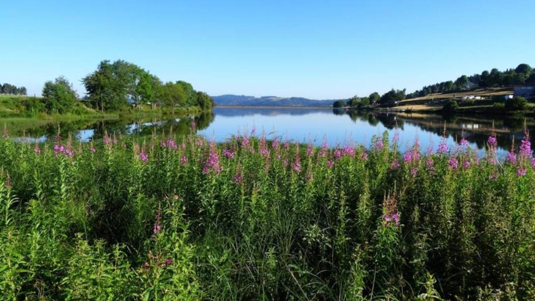 Апартаменты Lozere Aubrac Margeride Promo Saint-Alban-sur-Limagnole Экстерьер фото