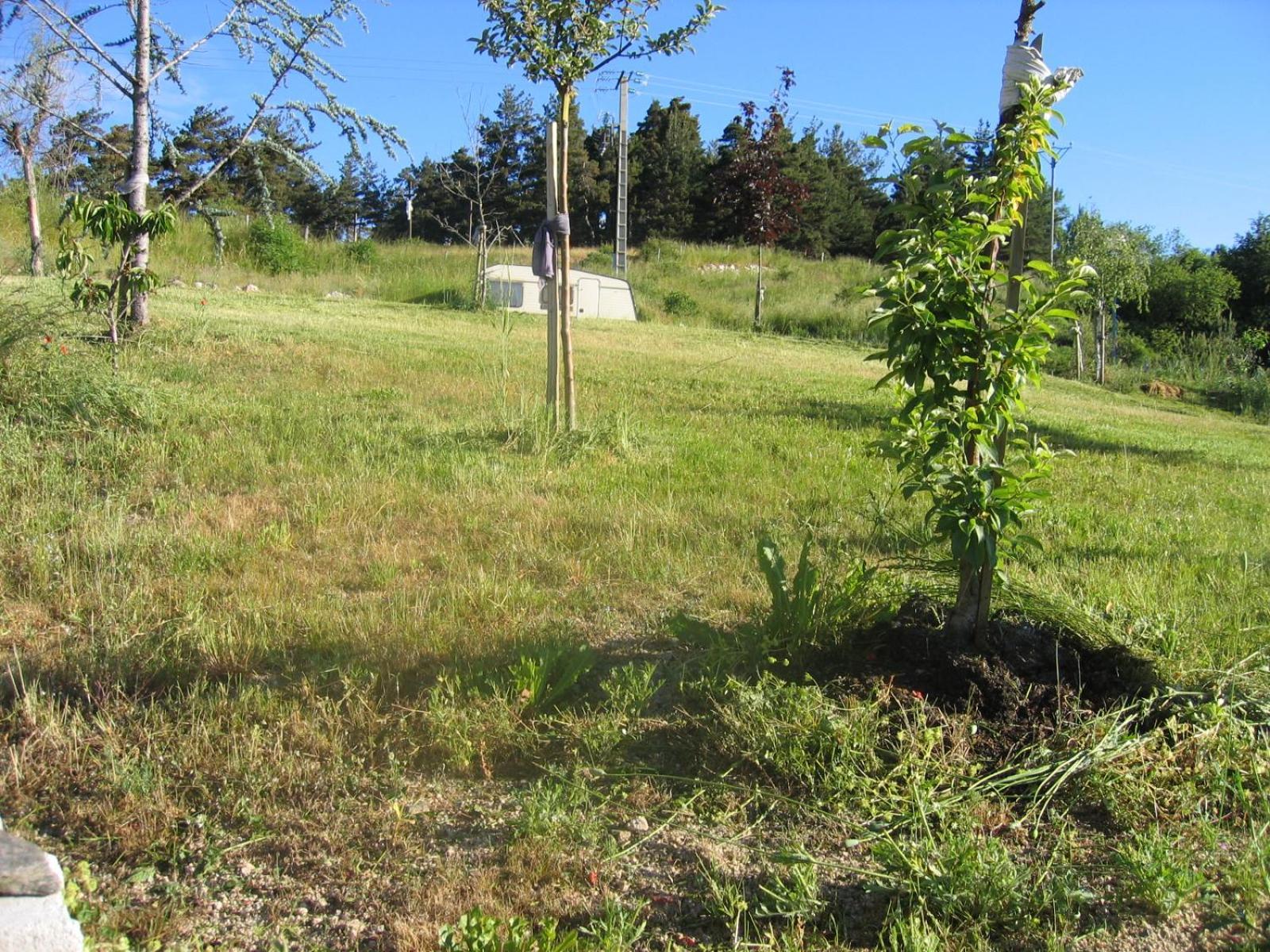 Апартаменты Lozere Aubrac Margeride Promo Saint-Alban-sur-Limagnole Экстерьер фото
