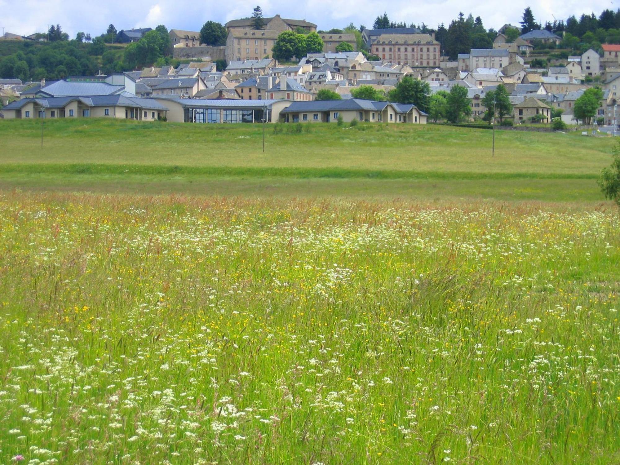 Апартаменты Lozere Aubrac Margeride Promo Saint-Alban-sur-Limagnole Экстерьер фото
